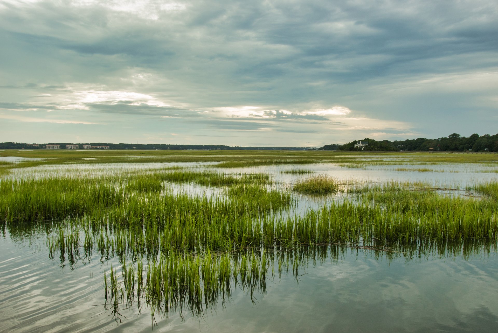 Florida and EPA Defend Clean Water Act Permit Program in the D.C. Circuit