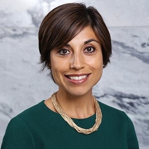 Mehrsa Baradaran