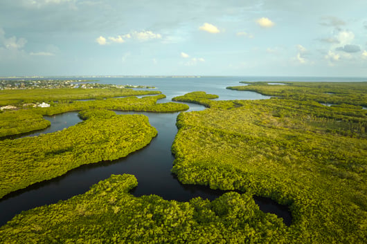 Analysis of the New Proposed “Waters of the United States” (WOTUS) Rule