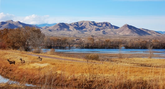 Apache Stronghold Pursues Claims That Conflict With Precedent