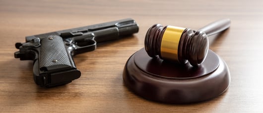 Click to play: Courthouse Steps Decision: United States v. Rahimi 