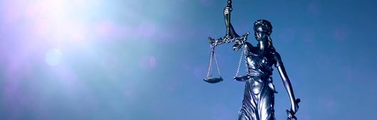 2021 National Lawyers Convention Digital Survival Guide