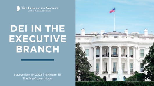 Click to play: DEI in the Executive Branch