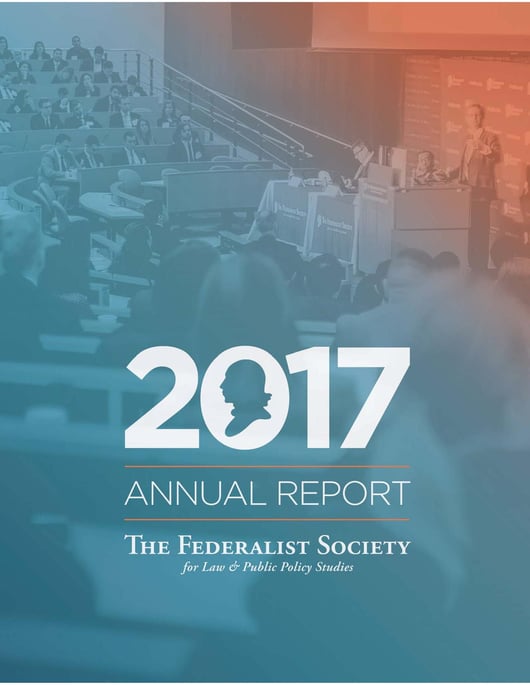 Annual Report 2017
