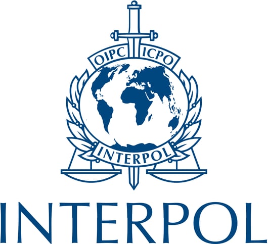 The TRAP Act’s Contribution to Preventing Transnational Repression Through Interpol