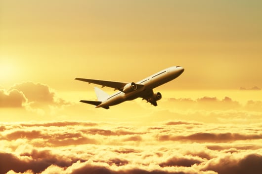 Love Terminal Partners v. United States: Where Wright Amendment Reform Went Wrong