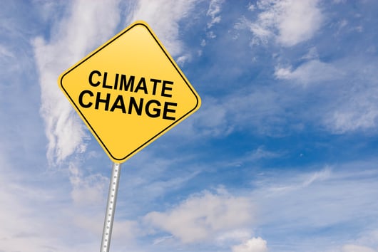 Click to play: Climate Change Nuisance Suits