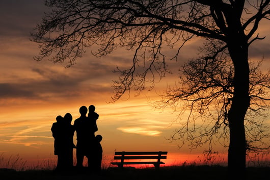 Federal Court to Michigan: Stop Discriminating Against Faith-Based Adoption Agencies