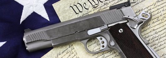 New Gun Rights Decision: State of Vermont v. Misch