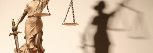 Anti-Slavery’s Sword: Section 1983 at 150