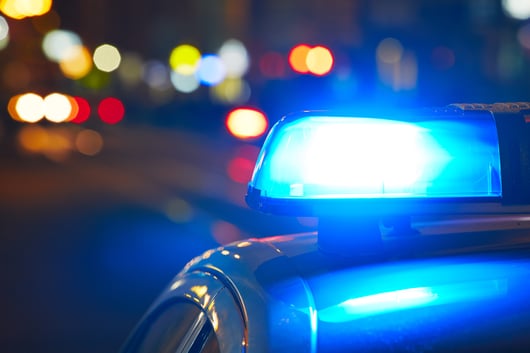 Police Use of Force and the Practical Limits of Popular Reform Proposals: A Response to Rizer and Mooney 