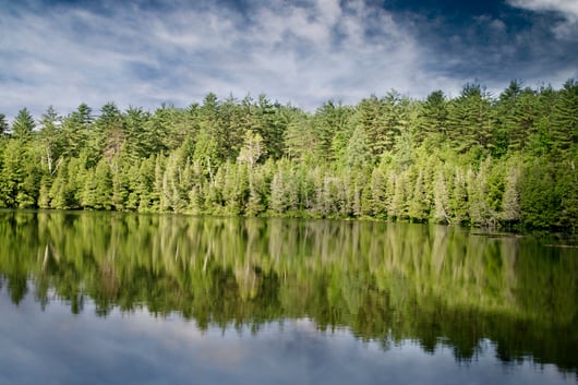 Will We Soon Have Clarity on Navigable Waters?: How the Supreme Court’s October 2017 Term Set the Stage 