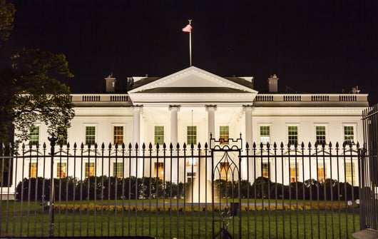 NLC: The Executive and the Regulatory State
