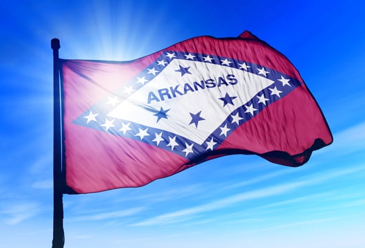 Arkansas Supreme Court Strikes Down Ban on Adoption by Unmarried Cohabitating Couples