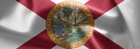Florida Supreme Court Clarifies Meaning of “Riot” in the Combating Public Disorder Act