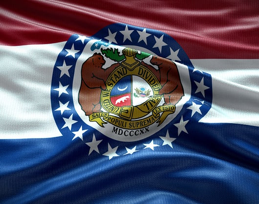 Missouri and New Jersey Courts Reject “Market Share” Liability for Lead Paint Manufacturers