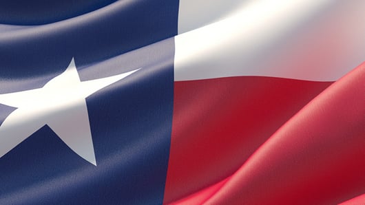 Supreme Court of Texas Says Calling Abortion Murder Is Protected Speech, Not Defamation