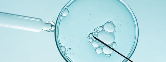 Click to play: Abortion and IVF post-Dobbs: LePage, Mayes, Etc.