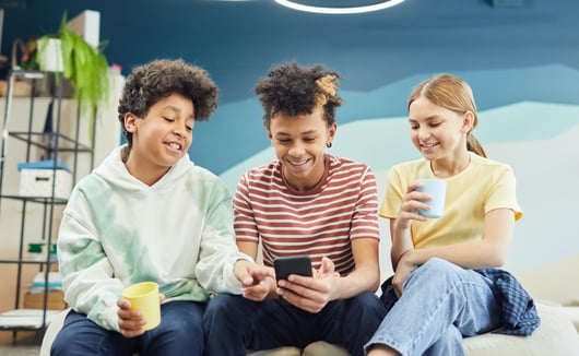 Click to play: Minor Matters in Cyberspace: Examining Internet Age-Verification Regulations