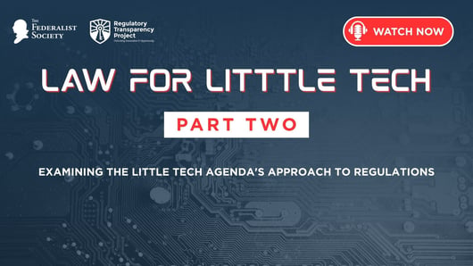 Law For Little Tech: Part 2 - Examining the Little Tech Agenda's Approach to Regulations