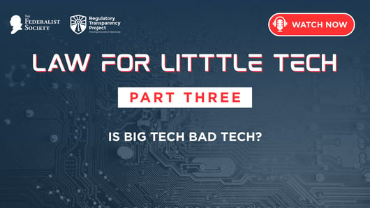 Law For Little Tech: Part 3 - Is Big Tech Bad Tech?