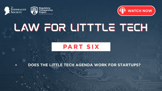 Law for Little Tech: Part 6 - Does the Little Tech Agenda Work for Startups?