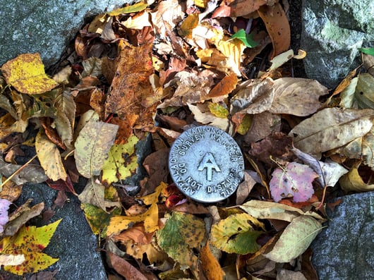 Courthouse Steps Preview: United States Forest Service v. Cowpasture River Preservation Association