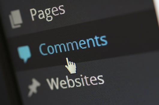 The Whys and Hows of Commenting on Rules