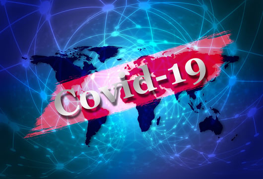 Executive Power v. Coronavirus