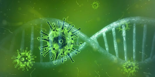 Coronavirus & The Law