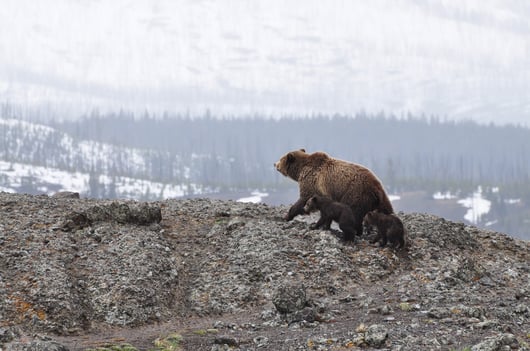 The Alaska Bar Association Considers ABA Model Rule 8.4(g): Comments Received Until August 15, 2019