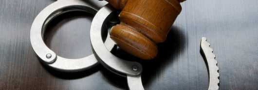 Courthouse Steps Oral Argument: Egbert v. Boule