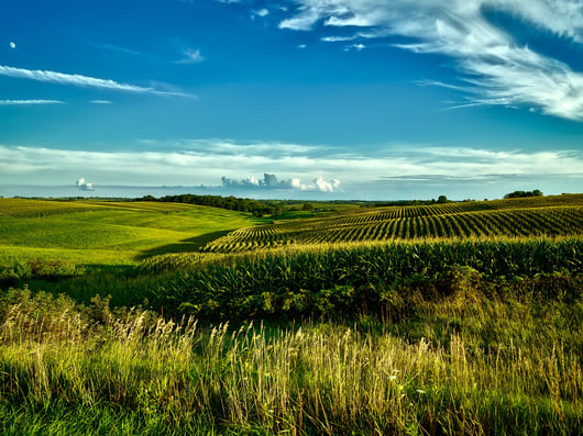 Iowa Supreme Court Considers ABA Model Rule 8.4(g): Comment Deadline September 30, 2019