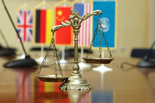 Understanding and Combating the Authoritarian Abuse of Interpol