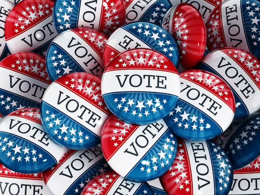 Courthouse Steps Decision: Minnesota Voters Alliance v. Mansky