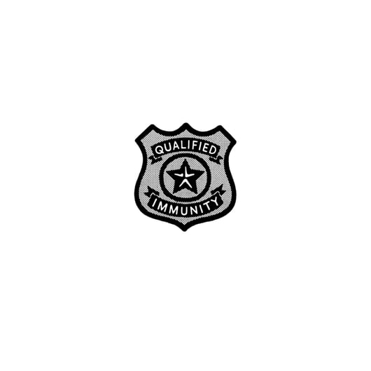 Click to play: Do We Need Qualified Immunity? 