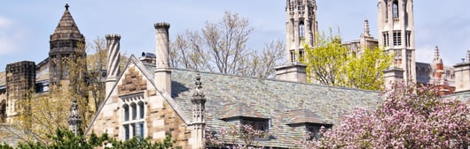 The Road to Campus Serfdom