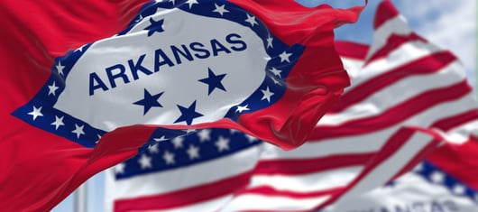 Click to play: Standing and Section 2: Does Section 2 of the Voting Rights Act Provide a Private Right of Action? 