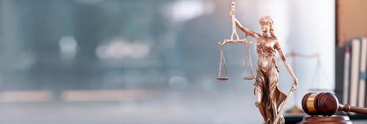 Click to play: Does One Size Fit All? Qualified Immunity Inside and Outside Split-Second Policing Decisions