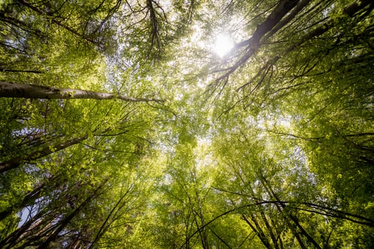 Click to play: The SEC’s ESG Reporting Rule: Understanding the Debate over Climate-Risk Disclosure Requirements