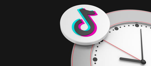 Click to play: TikTok on the Clock: A Courthouse Steps Oral Argument on TikTok, Inc. v. Garland
