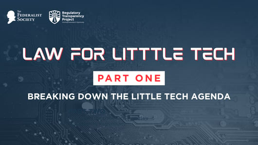 Law For Little Tech: Part 1 - Breaking Down the Little Tech Agenda