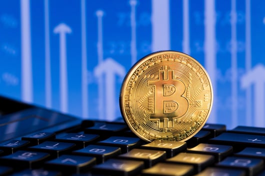 Virtual Currencies and the Rule of Law
