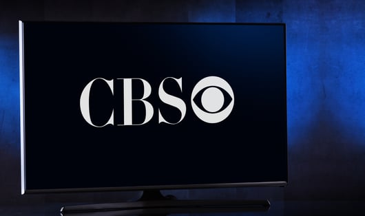 A Rebuke of DEI Practices at a “Big-Three” Television Network