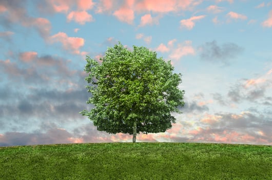 Click to play: Deep Dive Episode 132 – A Conversation with EPA Administrator Andrew Wheeler: New Rule on Guidance Procedures and More