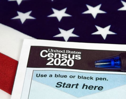 Citizenship and the Census