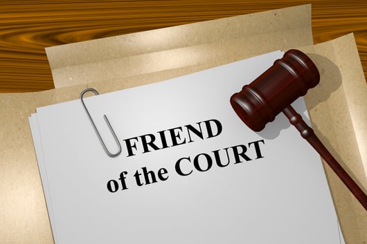 Proposed Amendments to the Amicus Process Are a Solution in Search of a Problem