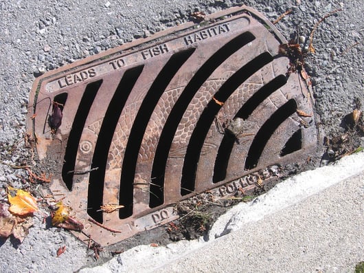 Ambiguity in the Law and San Francisco v. Environmental Protection Agency