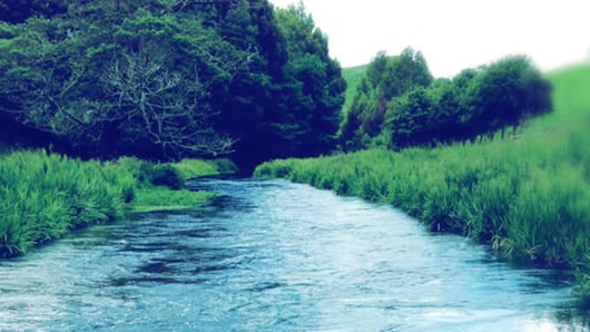 Earth Day Roundup