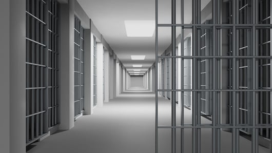 Prisoners: What Are They In For?